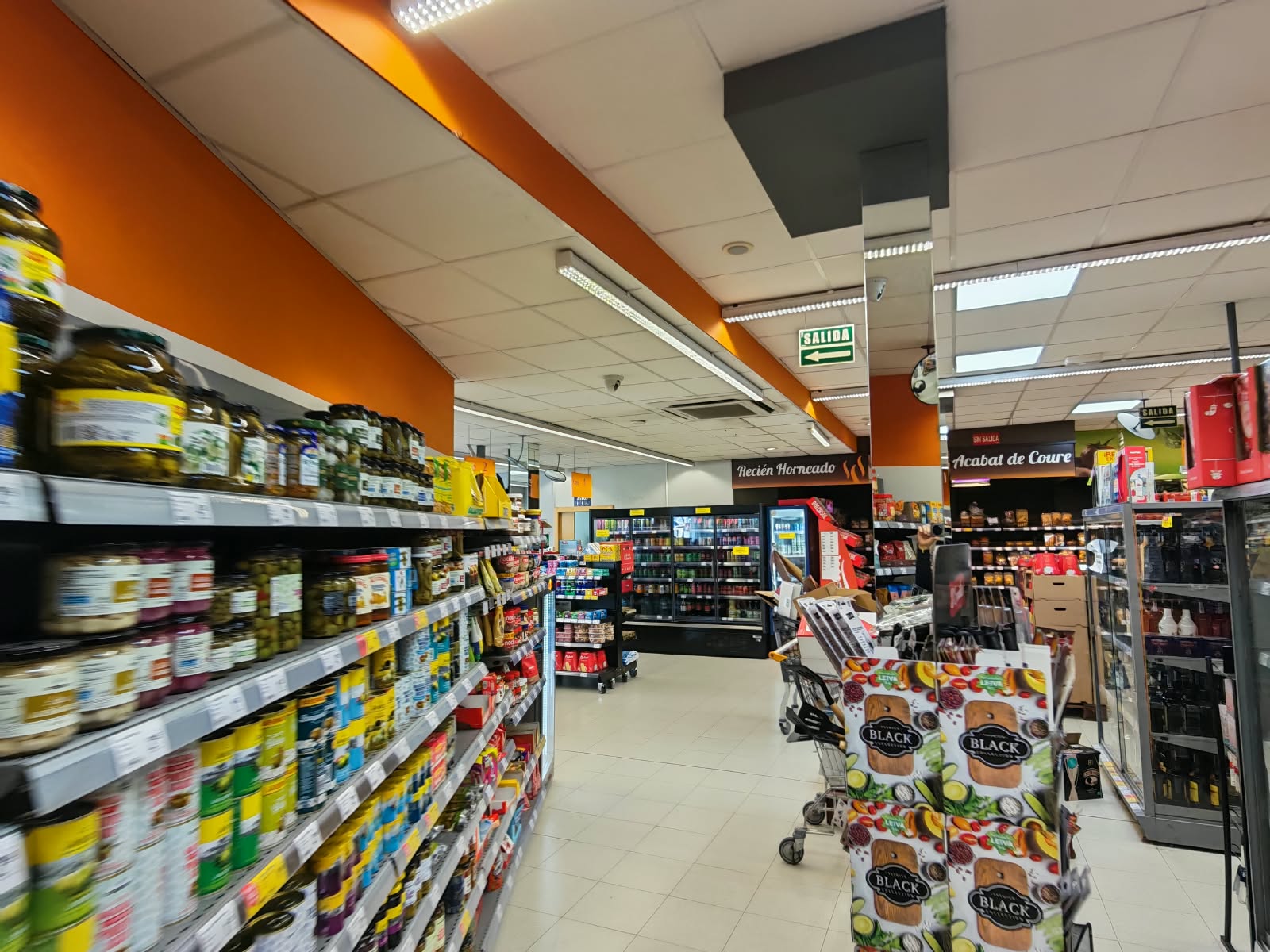 Pasillo de una tienda de alimentación en Alaquàs con cámaras domo de videovigilancia cableada en el techo y en una columna