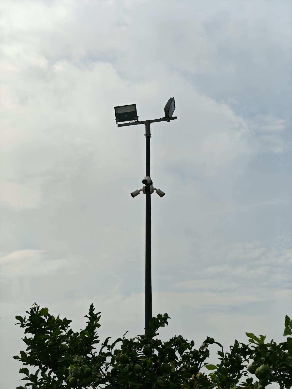 Poste con grupo de cámaras y focos led, videovigilancia con analítica de vídeo en Alaquàs