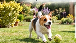 Perro jugando en el jardín visto por la cámara para mascotas
